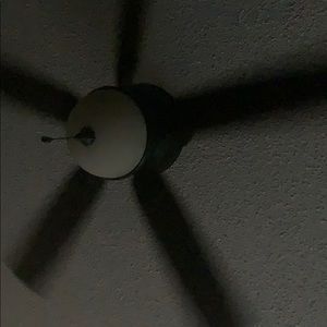 A fan